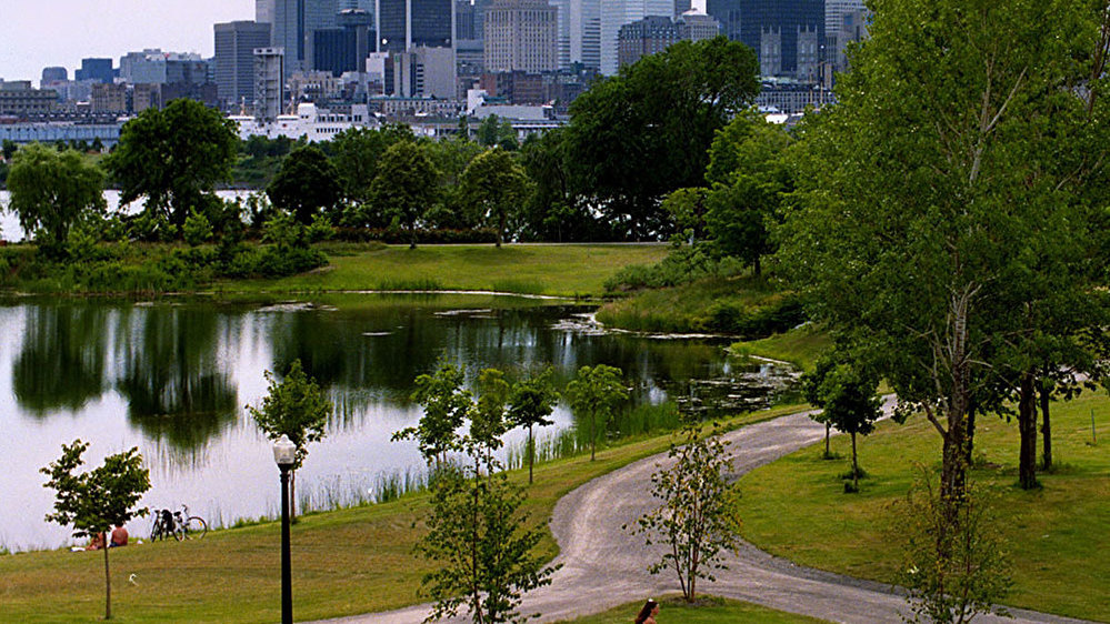 park.jpg